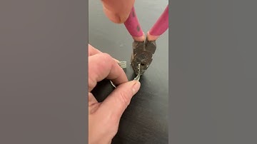 Clip Tip ⭐️ #shorts