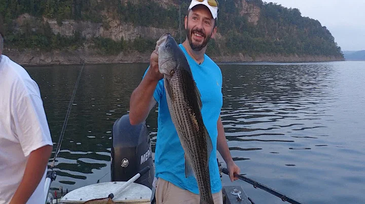 Summer Striper on Lake Cumberland
