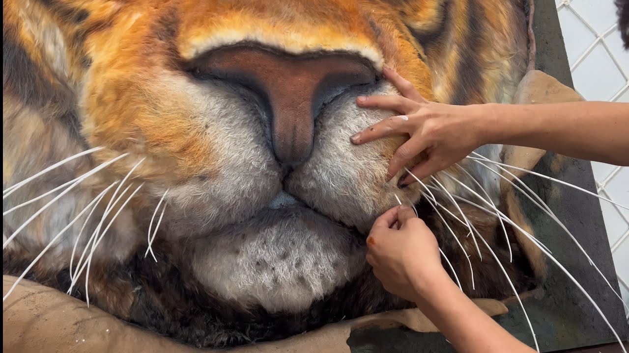 Watch How I Create a Life-like Tiger Breaking Free from the Frame! | Time-lapse Art