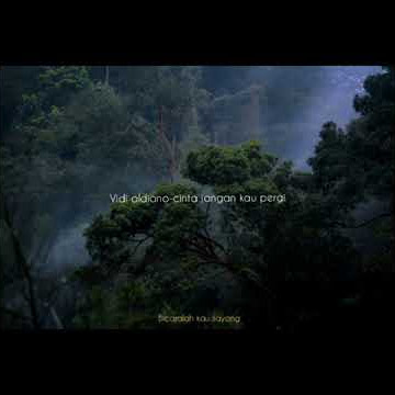 @vidi aldiano (cinta jangan kau pergi)