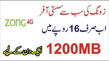 Zong Day Time Offer One Day Internet Package 4AM To 7PM Tech online Hamza