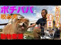 ついにポチパパ映画出演！「吾輩は保護犬である」製作YouTubeチャンネル【保護わんチャンネル】ご紹介