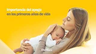 Importancia del apego en los primeros años de vida - Meridiano Seguros