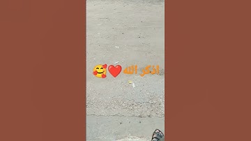 سورة الرحمن للقارئ الشيخ مشاري بن راشد العفاسي