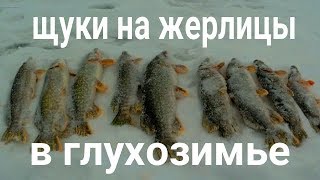 Щуки на жерлицы в глухозимье!!!!