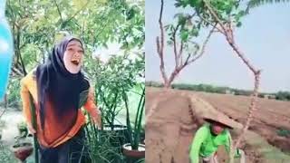 Story wa Pak tani yg gokil