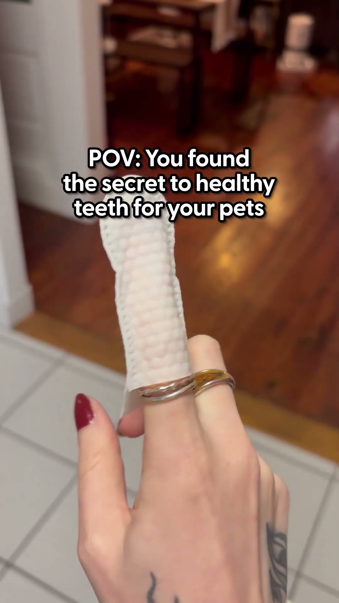 A Great Alternative To Brushing Your Pets' Teeth | The Pack
