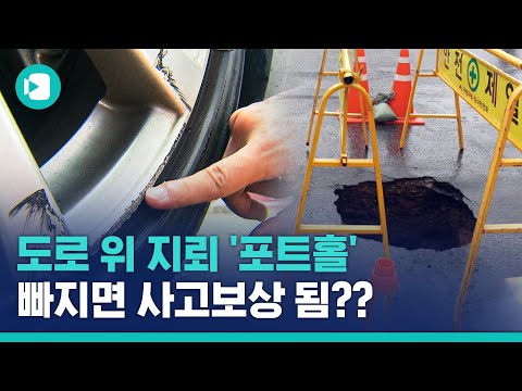 서울에만 열흘 간 7천 개 생긴 이것,  대처와 보상방법 알려드림 / 비디오머그