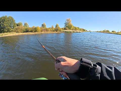 Is this a dream?! Catch a bag of pike! Autumn binge! Spin fishing in the fall.