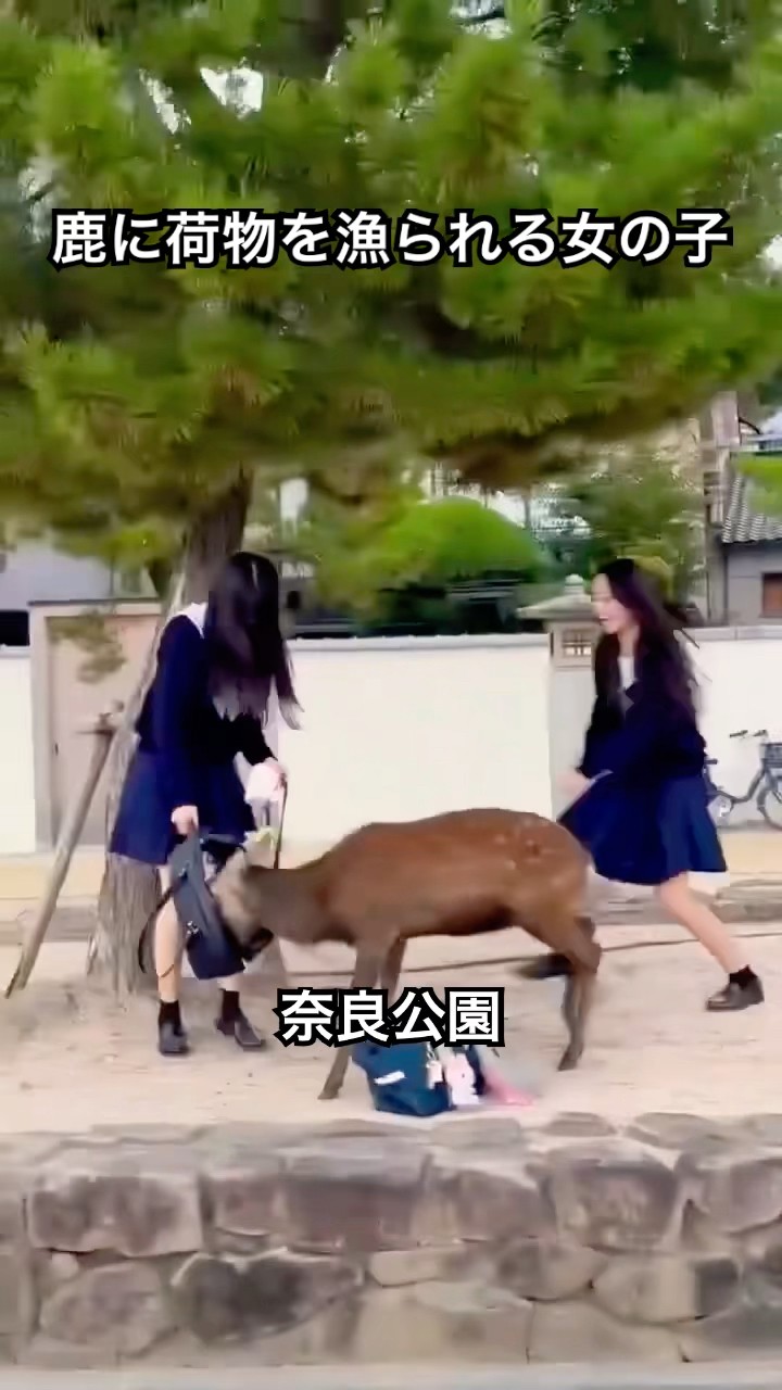 仮面ライダーX、スカイライダー、ZXが変身ポーズを披露！レジェンド