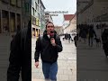 miezmiez macht München unsicher #viral #comedy #cat #funny #memes #miezmiez #fyp #fyp #cat #münchen