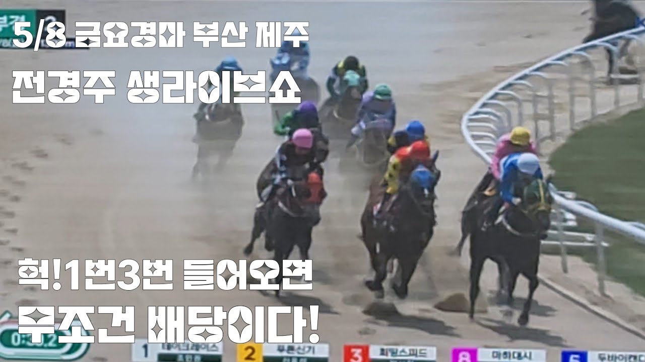 금요경마 최고배당 삼쌍승식1647.3배 생라이브쇼(현장그대로)