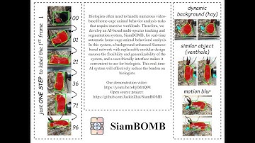 SiamBOMB Demo (5min version)