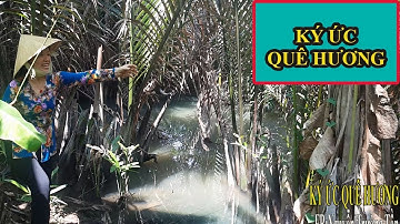 CÂU CÁ BỐNG DỪA KHO TIÊU-CANH RAU TẬP TÀNG CƠM TRƯA GIA ĐÌNH.