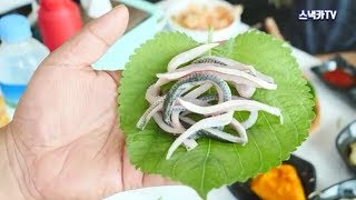 홍성 남당항 고소한 가을 전어회 | Hongseong savory autumn Namdang-hang gizzard shad run | Korean street food