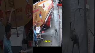 This Dog Gave Him  Heart Attack