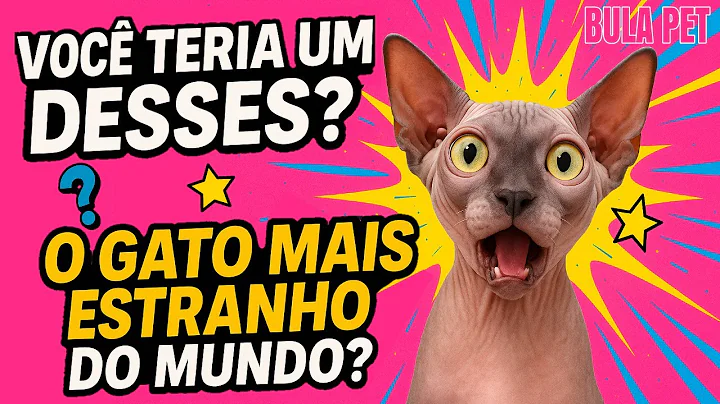 Video 8517921: sphynx hairless cat, canadian sphynx cat, cat pets