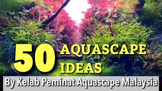 50 AQUASCAPE IDEAS by Kelab Peminat Aquascape Malaysia (KPAM) 44k Followers