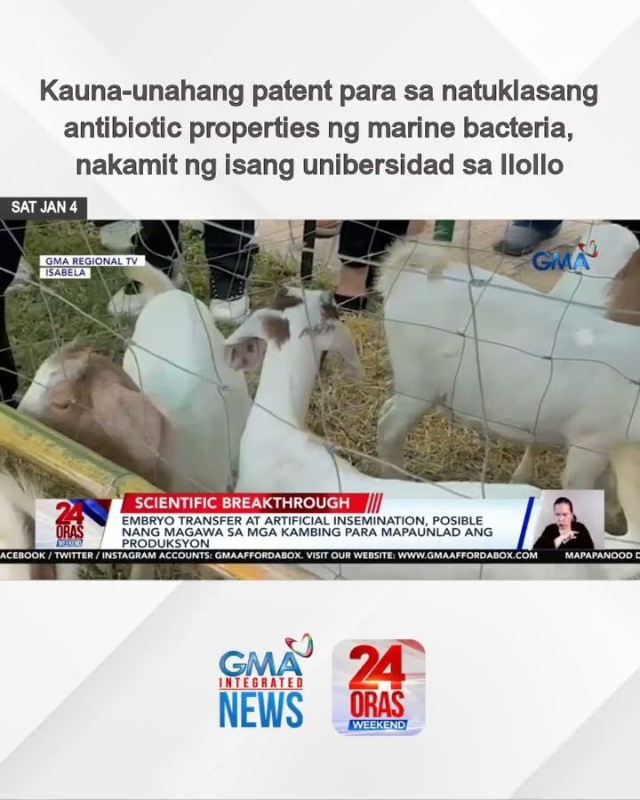 Kauna-unahang patent para sa natuklasang antibiotic properties ng marine... | 24 Oras Weekend