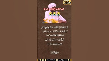 تلاوه سودانيه خاشعه للشيخ احمد محمد طاهر #shortvideo #اكسبلور #المصحف #مشاركة #قناة_النور #duet