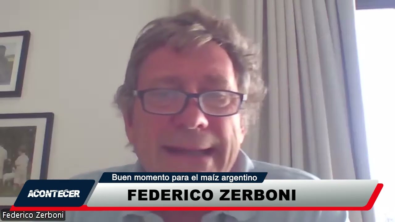 El maíz argentino vive un gran momento. Más detalles