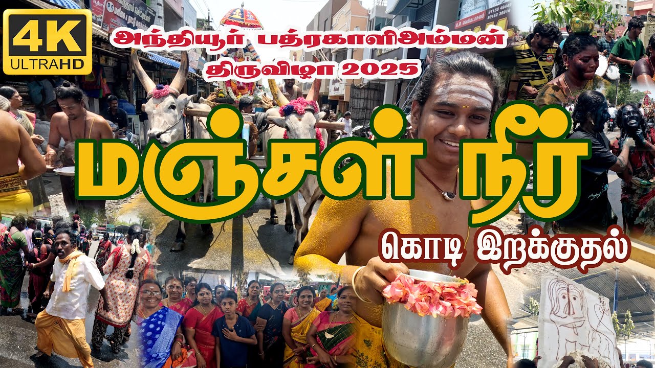 அந்தியூர் பத்ரகாளியம்மன் திருவிழா 2025 || மஞ்சள் நீராட்டு || கொடி இறக்கம்