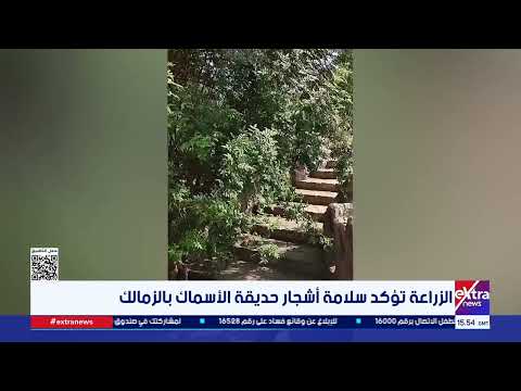 Ministry of Agriculture confirms the safety of trees at the Fish Garden in Zamalek