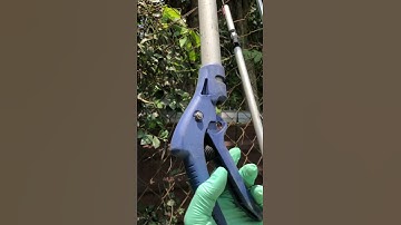 Kéo Cắt cành trên cao 3m Nhật ( 0933.79.3131 ) #keocatcanhtrencao3m