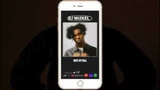 BEST OF FOLA | 48 Mins of Chill Songs | Afrobeats | R&B MUSIC PLAYLIST | AMAPIANO | WHAT A FEELING