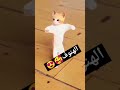 حسب الطلب هنوف الجزائر عمان العراق السعودية امارات مصر تركيا الهند الامارات حسب حسب الطلب هنوف الجزائر عمان العراق السعودية امارات مصر تركيا الهند الامارات حسب