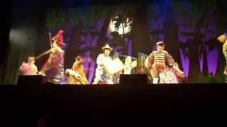 Vignette de la vidéo "Story Of My Life - Shrek The Musical National Tour 2012-2013 - Tony Johnson as Pinocchio"