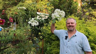 Celebrity Turning Shrubs into Trees Profile