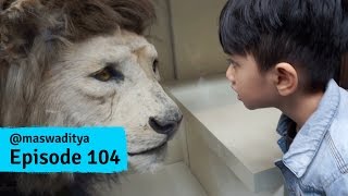 Mengunjungi Natural History Museum, London - Part 1