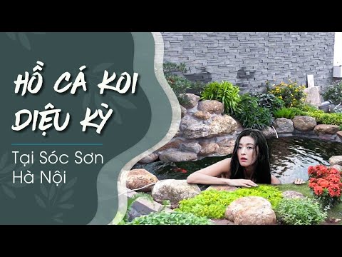 Video Mẫu Hồ Cá Koi Kết Hợp Sân Vườn Tự Nhiên Tại Sóc Sơn,... - youtube