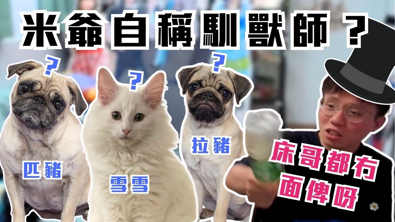 [JFFLIVE考古精華]  米爺自稱馴獸師？｜米爺教狗｜米爺：牙雪！床哥都冇面俾呀 | 米講風良話精華 @JFFTHK @JFFLiveChannel