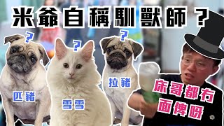 [JFFLIVE考古精華]  米爺自稱馴獸師？｜米爺教狗｜米爺：牙雪！床哥都冇面俾呀 | 米講風良話精華 @JFFTHK @JFFLiveChannel