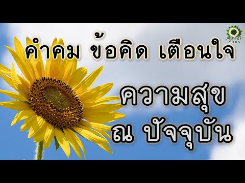 คำคม ความ สุข  Update 2022  คำคม ข้อคิด เตือนใจ ความสุข ณ ปัจจุบัน