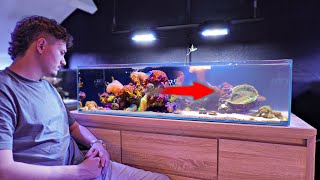 A Reef Tank Crash, Hobbyists' Worst Nightmare - Fish Room Update Ep. 6 by Danny's Aquariums 13,452 views 6 days ago 14 minutes, 14 seconds