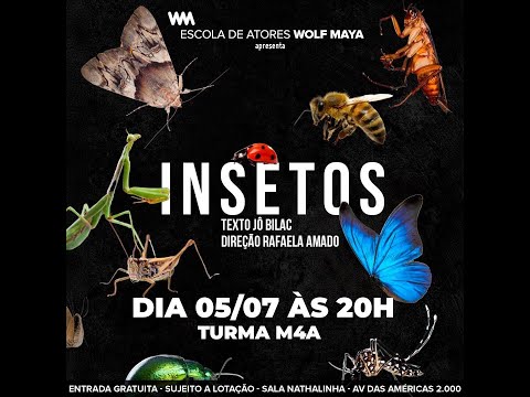 Cena da Peça Insetos