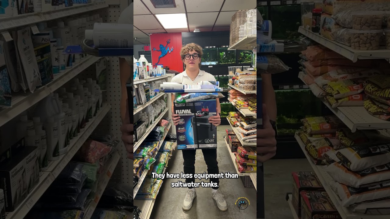 Каково ваше мнение о пресноводных рыбах? 