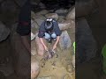 Rare Find! Octopus & Crabs at Night 🦀