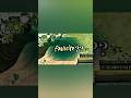 Everyone's Favorite?? #content #trending #viral #creativecontentcreator
