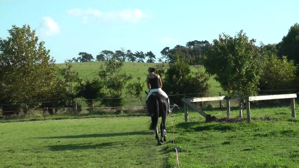 alycia burton facebook 7 YR OLD 2STAR EVENTER- SOLD