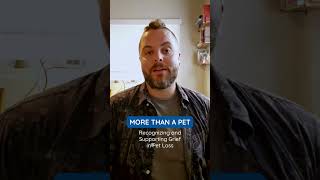 More Than a Pet: Recognizing and Supporting Grief in Pet Loss