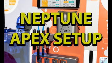 Setting Up A Neptune Apex On Our Reef Aquarium