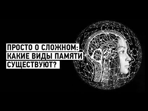 Просто о сложном: какие виды памяти бывают?