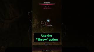 Use Mage Hand To Get Out Of Reach Objects Baldurs Gate 3