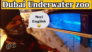 Dubai Aquarium & Underwater Zoo| The Dubai Mall | Dubai After Lockdown| Dubai 2021 | Dubai part-6