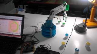 robot arm and image processing 2