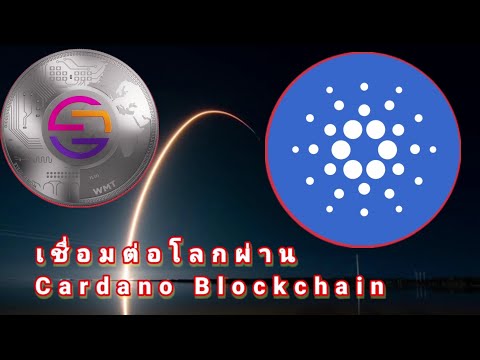 WMT decentralized internet เชื่อมต่อโลกผ่าน Cardano Blockchain